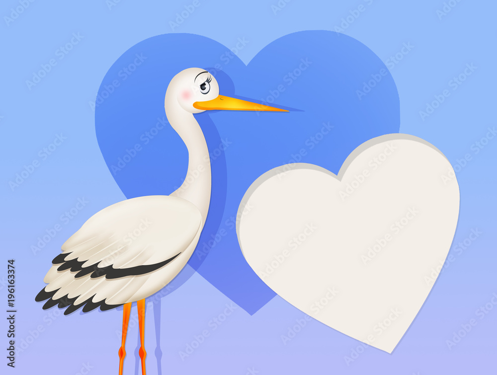 Obraz premium stork for male