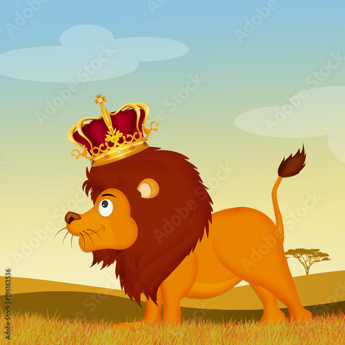 Fototapeta Naklejka Na Ścianę i Meble -  lion, the king of the forest