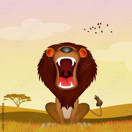 Fototapeta Naklejka Na Ścianę i Meble -  lion roars in the savannah