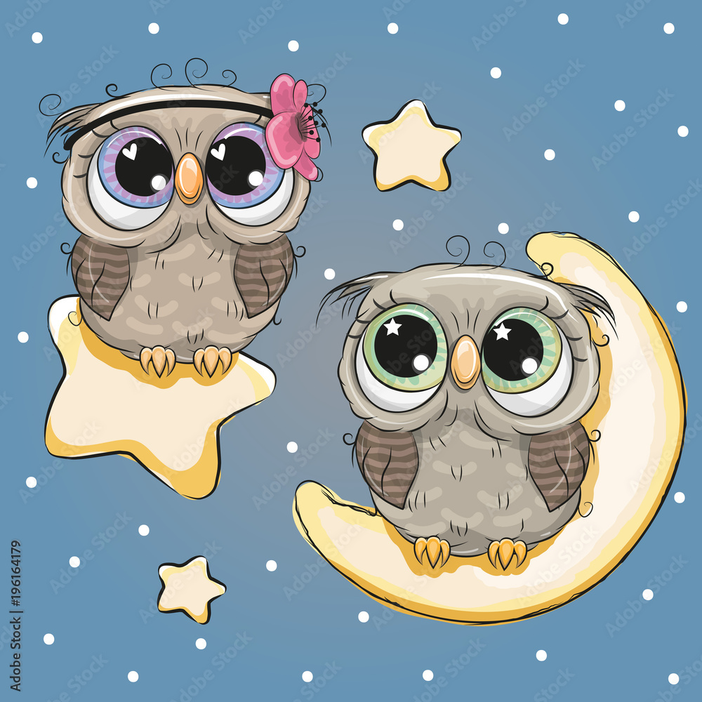 Fototapeta premium Walentynkowa karta z kochankami sów