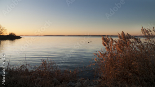 Sunrise on the lake, frosty wild grasses, rippled water © Tamara  Harding
