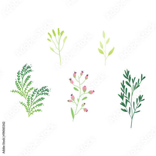 Vector cartoon abstract green plant set icon. Wild meadow field grass garden spring easter, women day romantic holiday, wedding invitation card decoration summer floral Illustration white background