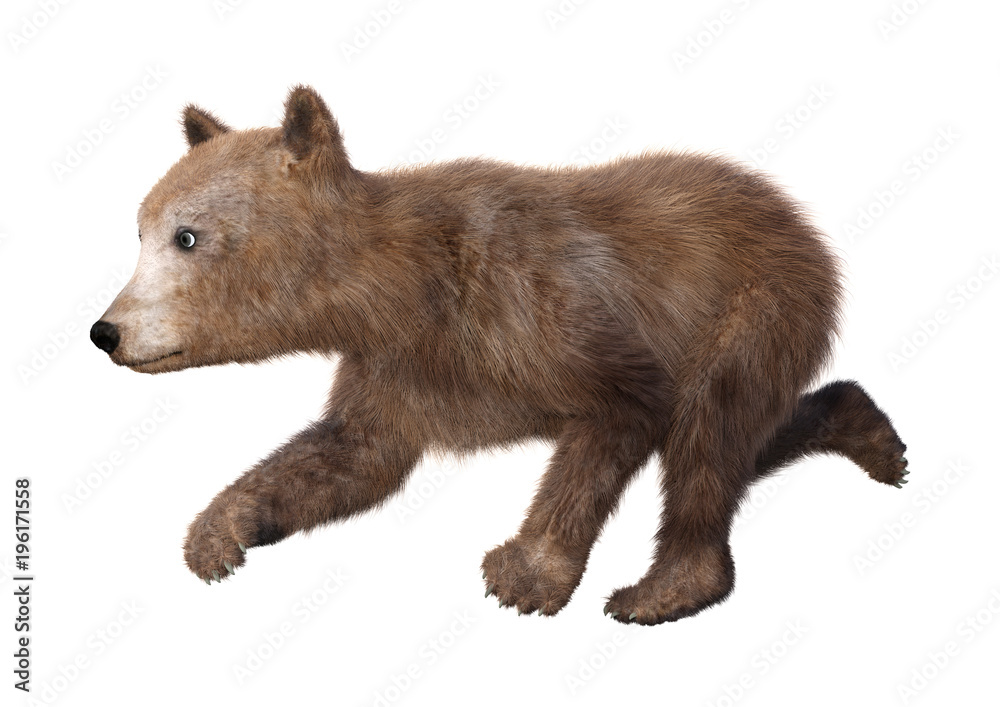 Fototapeta premium 3D Rendering Brown Bear Cub on White