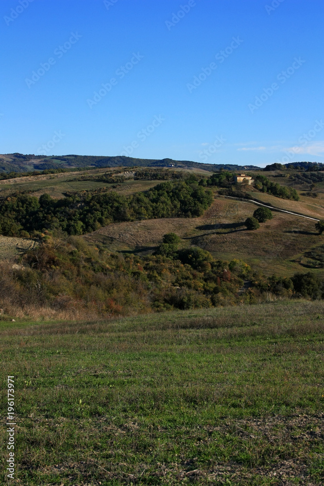 Cultivated fields in Tuscany, Italy