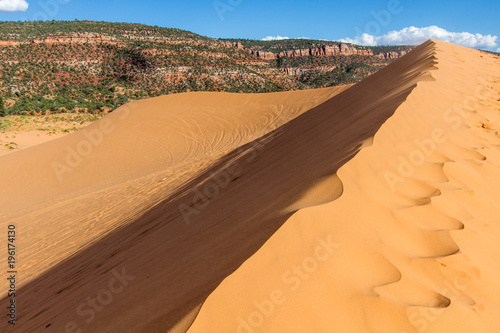 Coral Pink Sand Dunes