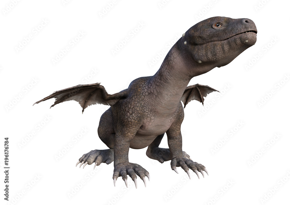 3D Rendering Fantasy Hatchling Dragon on White 3D Rendering Fantasy Hatchling Dragon on White