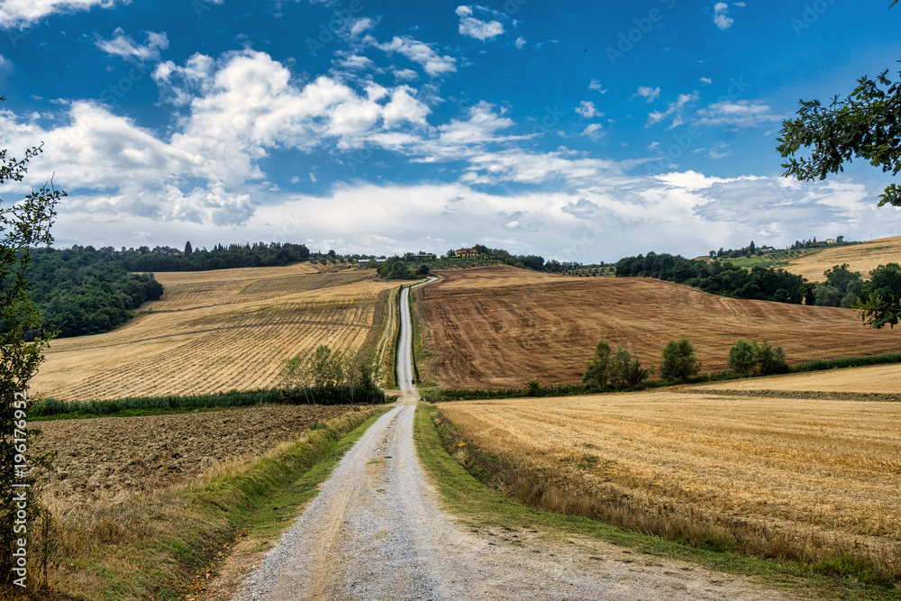 Tuscany: the road to Torre a Castello