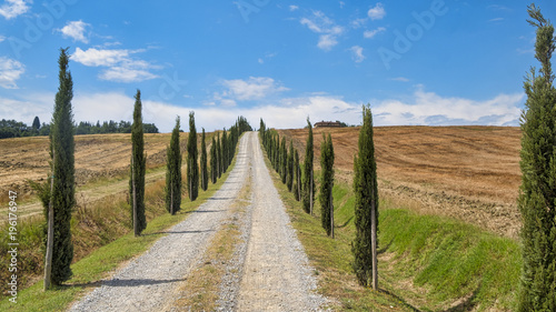 Tuscany: the road to Torre a Castello © Claudio Colombo