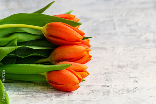 red tulip flowers on light gray background.