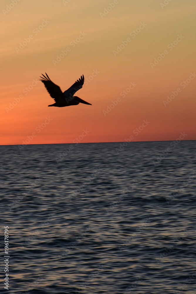 Flying through the sunset