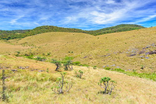 Beautiful landscape meadow from World's End within the Horton Plains National Park in Sri Lanka.