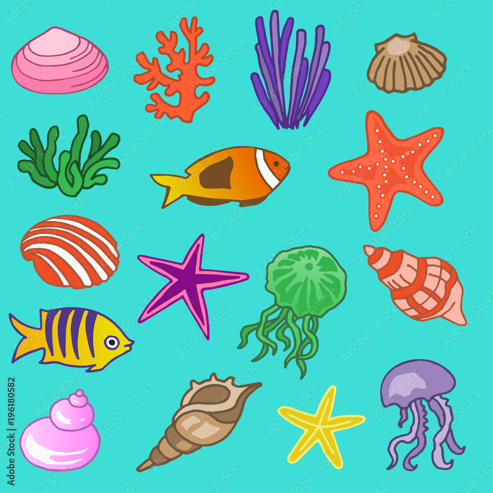 Sea set of sea shells, sea star, corals. Vector, illustration isolated background EPS10