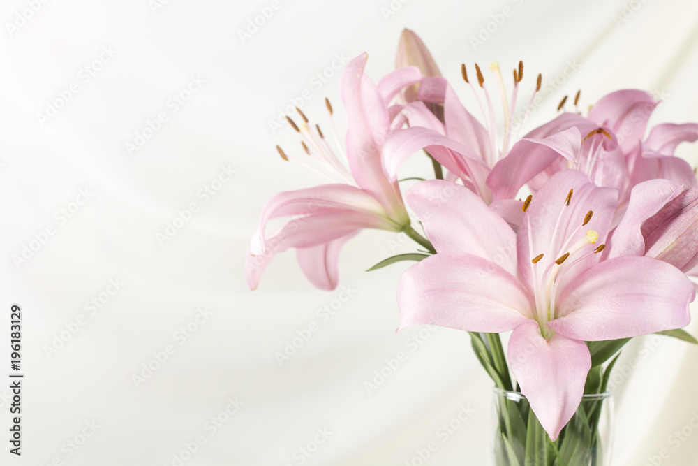 Fototapeta premium Beautiful pink lily in glass vase on white fabric