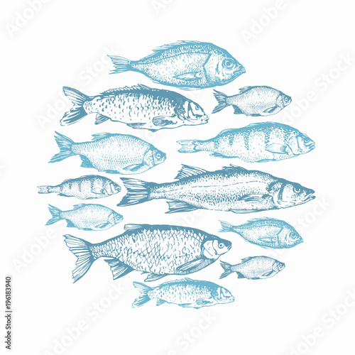 Vector illustration with sketches of fish. Round composition. Hand drawn fish. Blue design. Fish Market. Poster for seafood menu.