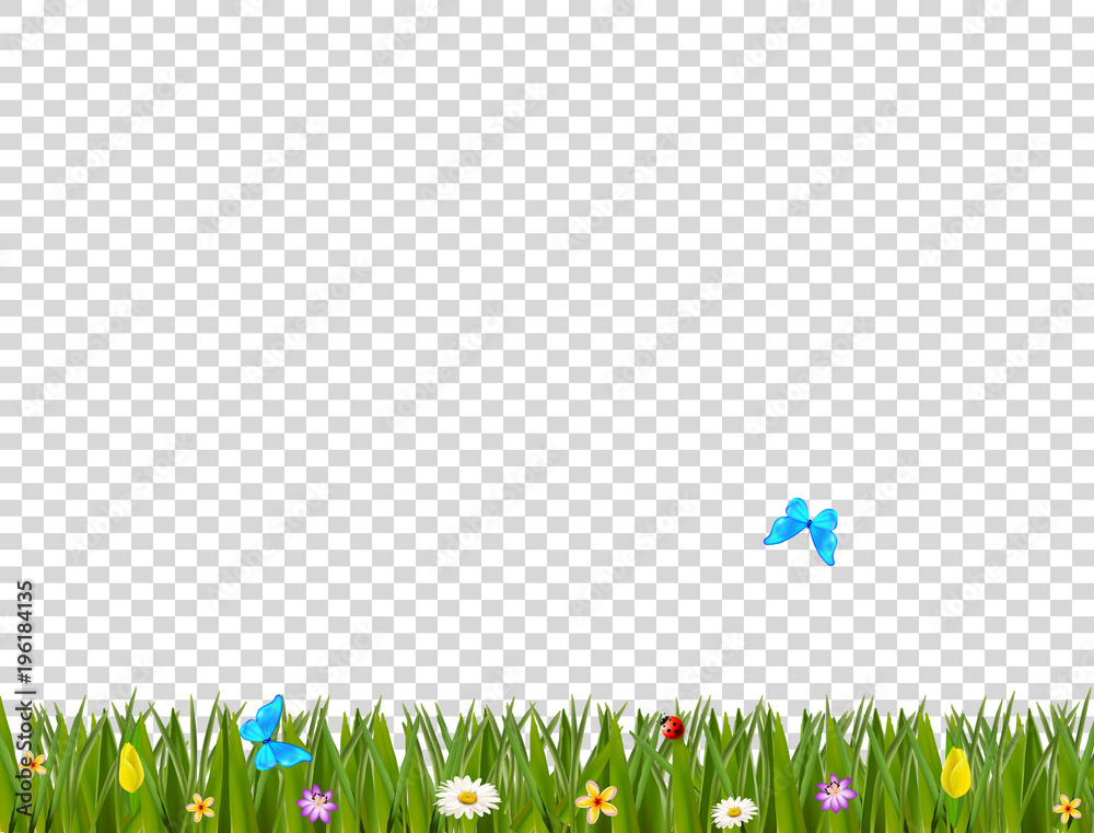 Green realistic grass border with flowers and butterflies Stock Vector ...