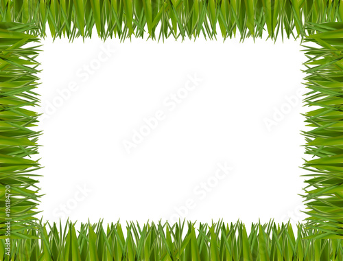 Green grass border frame isolated on white background
