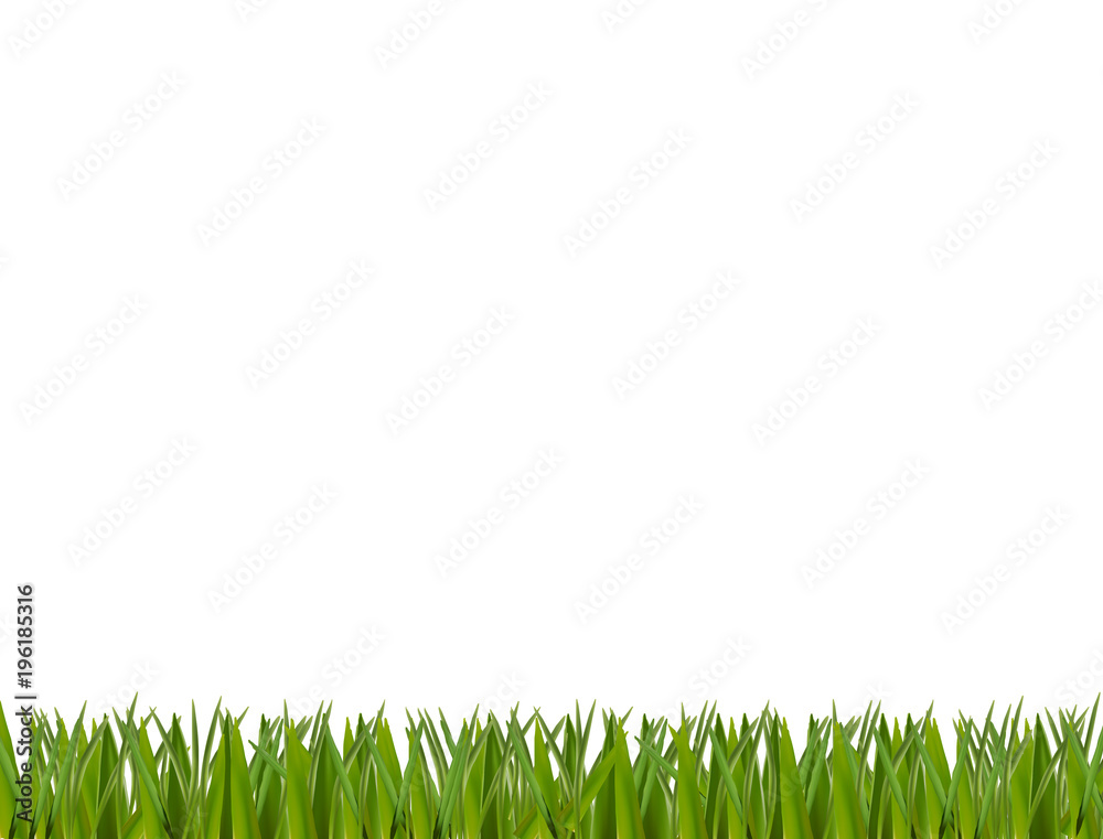 Green realistic grass border isolated on white background. Green realistic grass border isolated on white background.