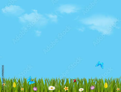 colorful  illustration with beautiful meadow and blue sky
