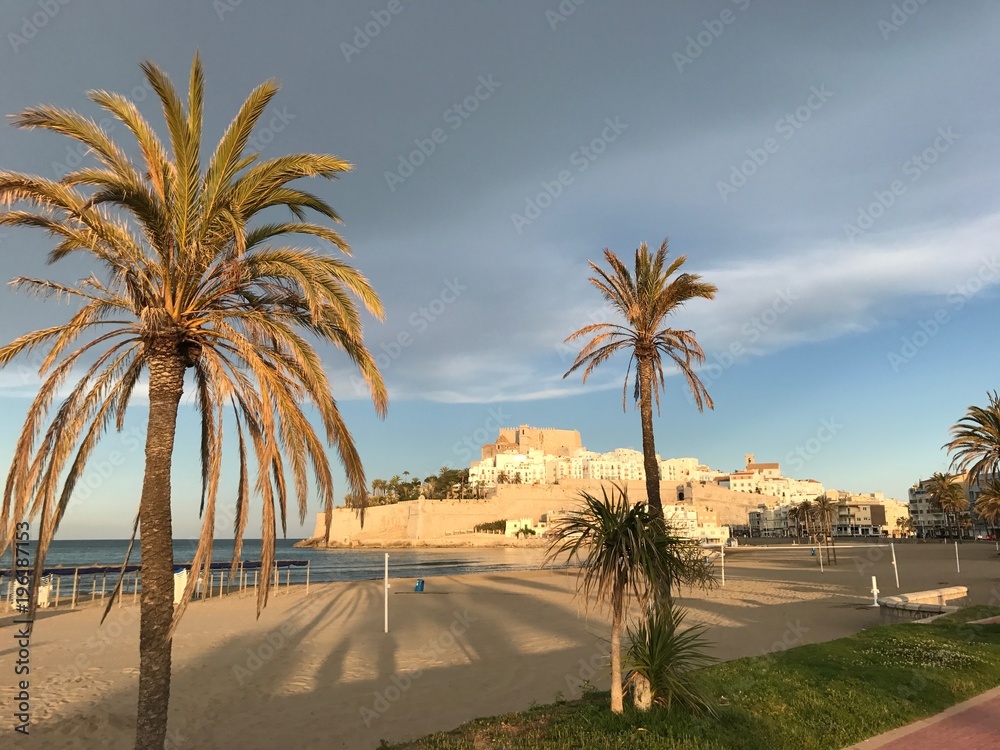 Palm tree view to Peniscola castle