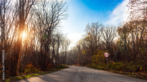 Road in a colorful autumn forest