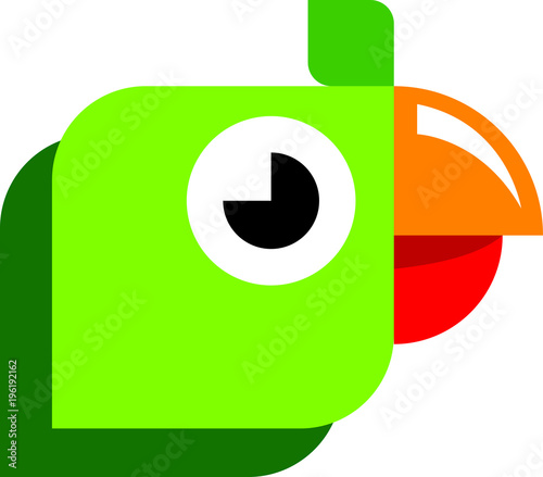 Parrot Vector Graphic Design