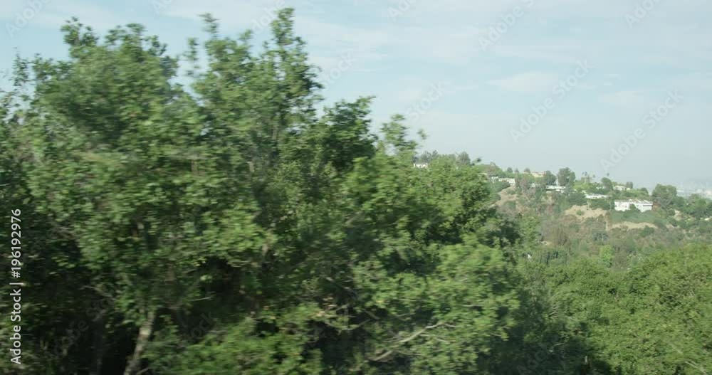 Hills and trees, California Hills and trees, California