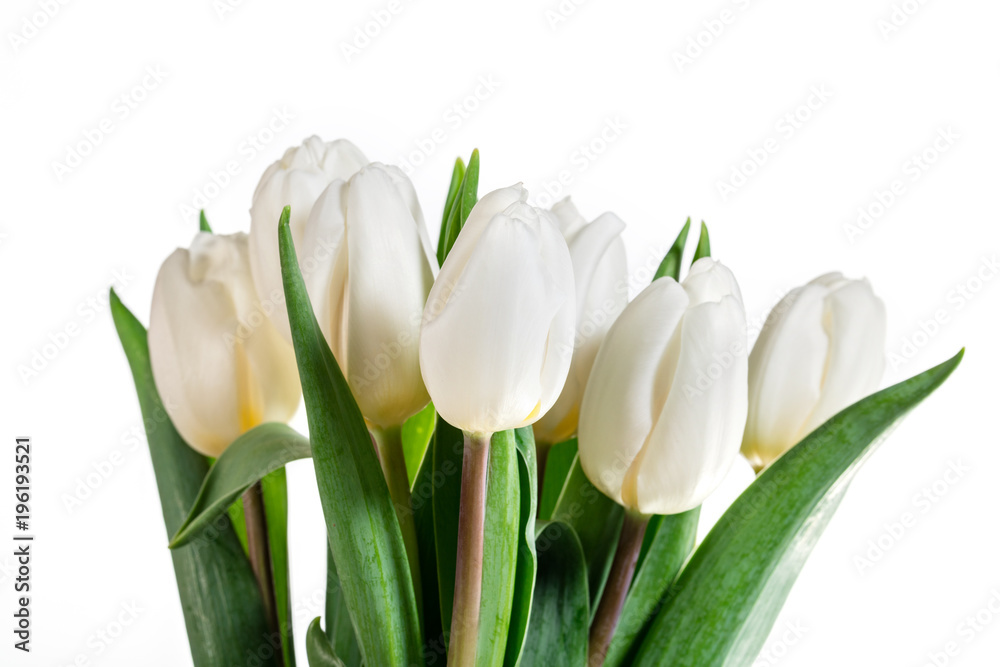 Fototapeta premium Group of white spring flowers in a close-up.