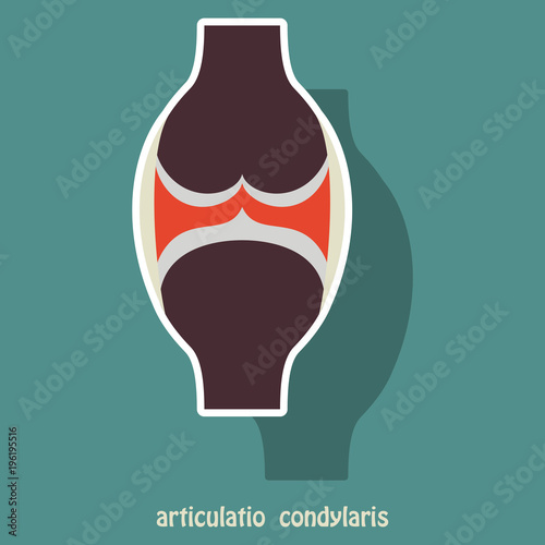 Knee joint health care icon sticker