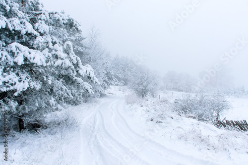 Snowy winter landscape with road and snow covered trees © Mateusz