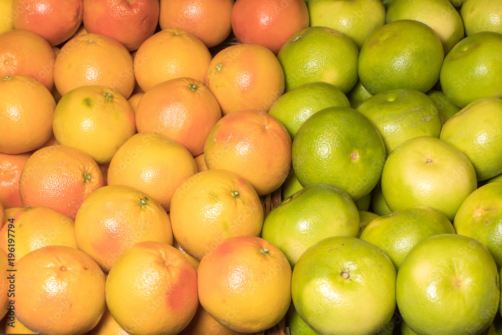 grapefruit harvest. many grapefruits. grapefruits from the field for food texures. grapefruit harvest. many grapefruits. grapefruits from the field for food texures.
