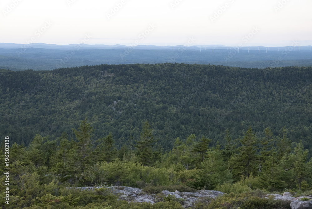 Green Mountain Summit