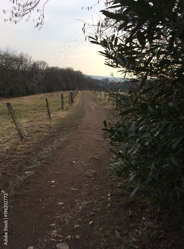 Feldweg im Winter