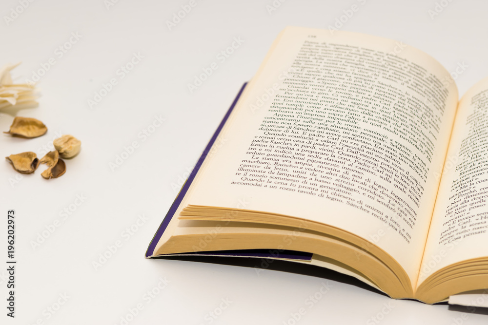 Fototapeta premium On the table