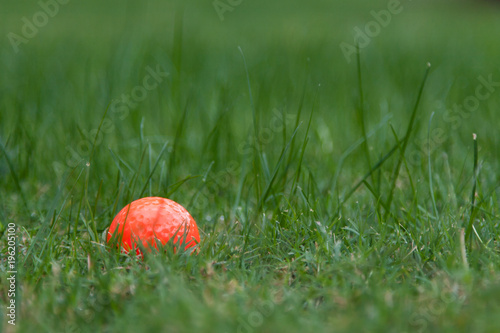 Wallpaper Mural Orange golf ball on green grass Torontodigital.ca
