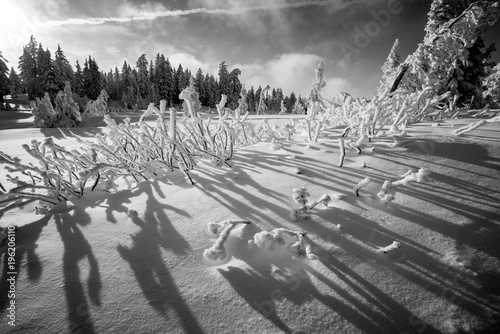 Winter Forest Crater Lake Snowy Mountain Landscape Photograph Oregon Pacific Northwest Mountain Trees photo