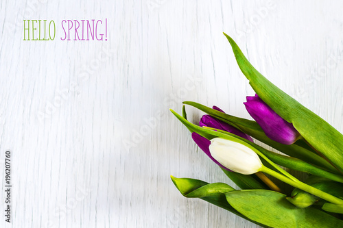 Beautiful tulips against white wooden background. The inscription Hello spring. Copy space.