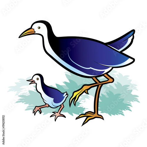 water hen mother and baby walking over blue tree bush vector cartoon 