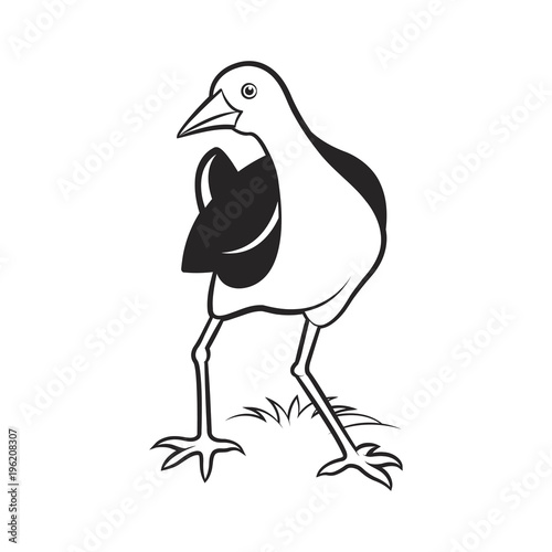 black and white water hen watching back vector cartoon