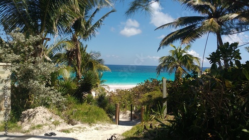 Beautiful view of Caribbean sea in the pink sand beach in Harbour Cay in Bahamas © Zoe