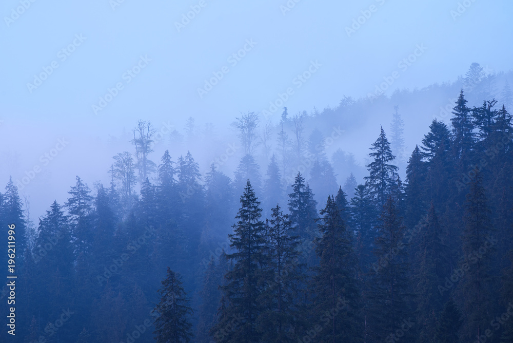 Misty landscape with mountains and fir forest in hipster vintage retro style