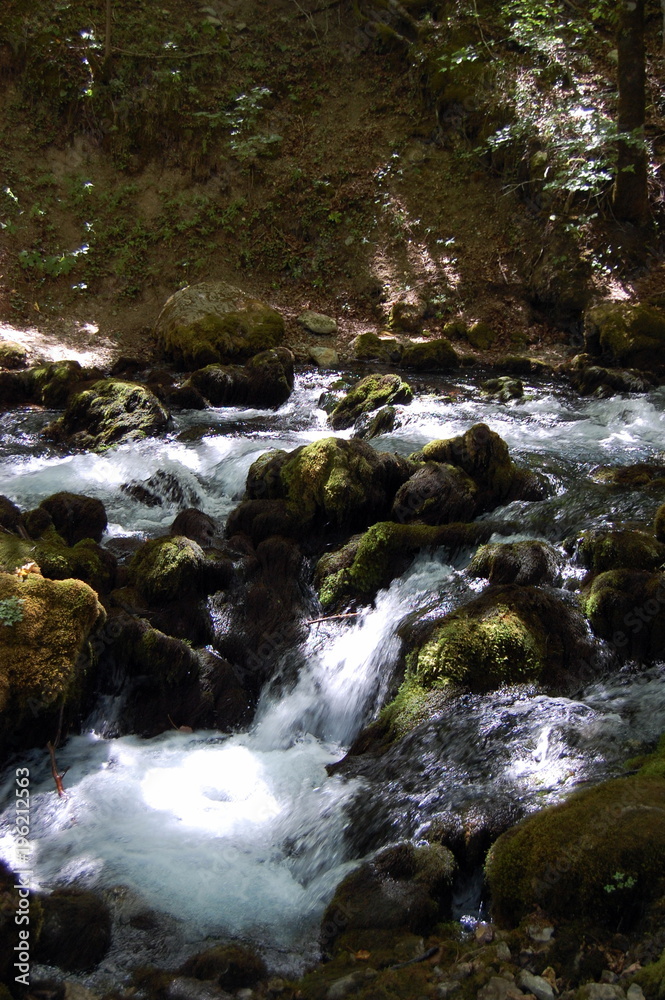A small mountain stream in the forests in the north of Montenegro. A small mountain stream in the forests in the north of Montenegro.