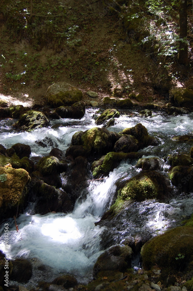 A small mountain stream in the forests in the north of Montenegro.