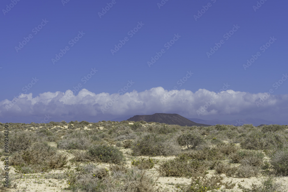 Landscape Dunes Of Canary Islands, Spain. Landscape Dunes Of Canary Islands, Spain.