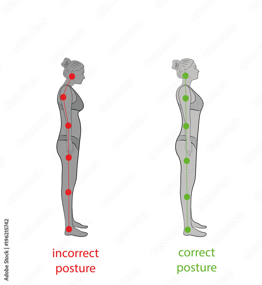 Correct alignment of human body in standing posture for good Biology Diagrams