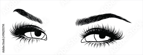 Illustration of woman's sexy luxurious eye with perfectly shaped eyebrows and full lashes. Hand-drawn Idea for business visit card, typography vector. Perfect salon look.