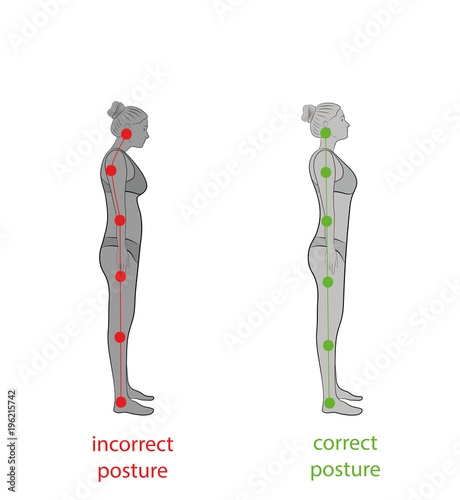 Correct alignment of human body in standing posture for good personality and healthy of spine and bone. Health care and medical illustration 