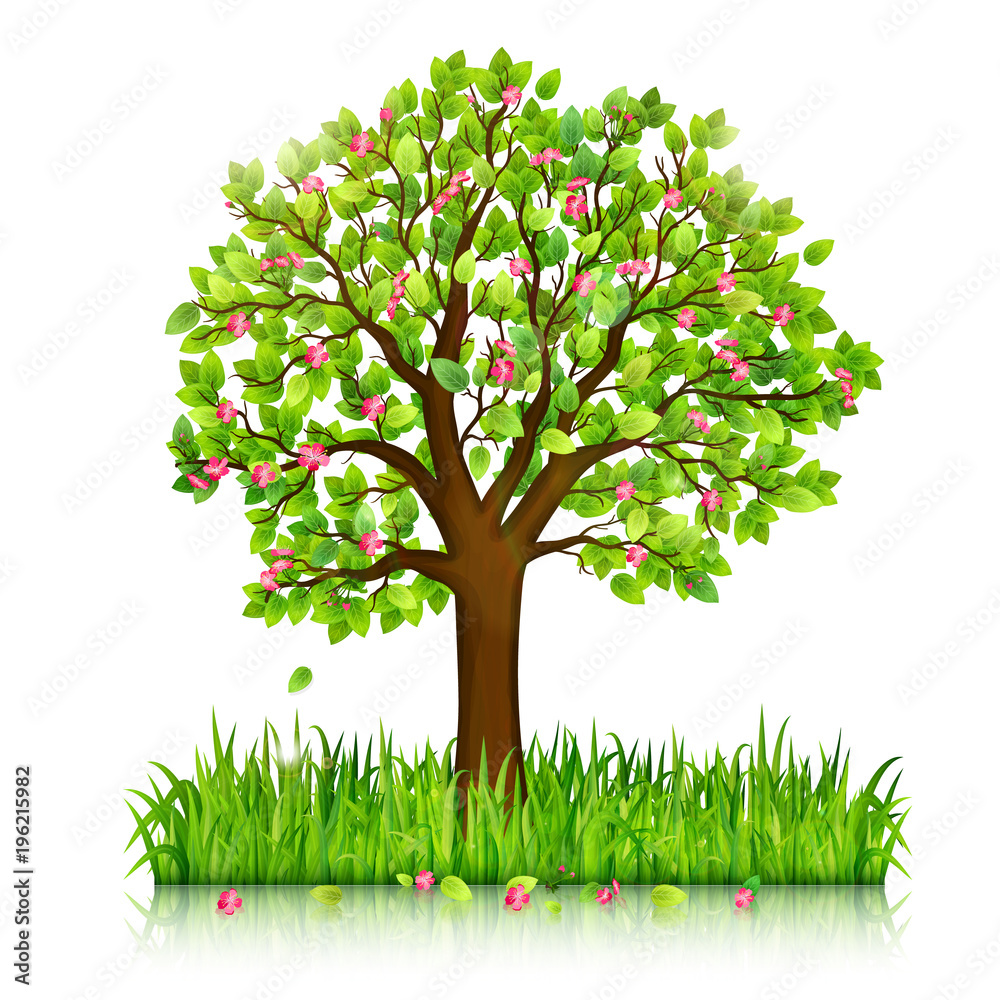 Naklejka Wiosny natury tło z kwitnącym drzewem i zielonej trawy wektorem
