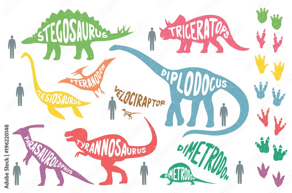 Naklejka Zestaw kolorowych dinozaurów z napisem i ślady, odizolowane na tle wite. Rozmiar dinozaurów a wielkość człowieka.