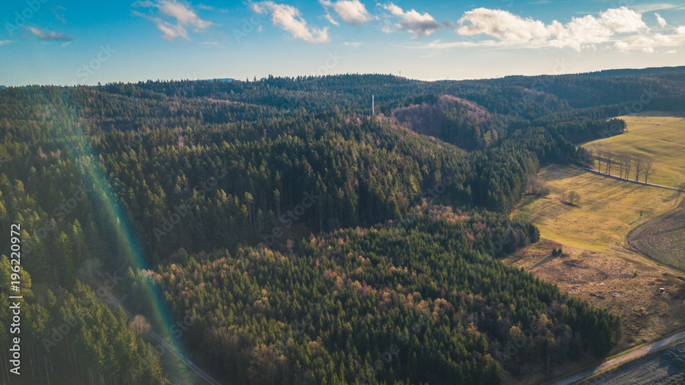Wald Landschaft Drohne