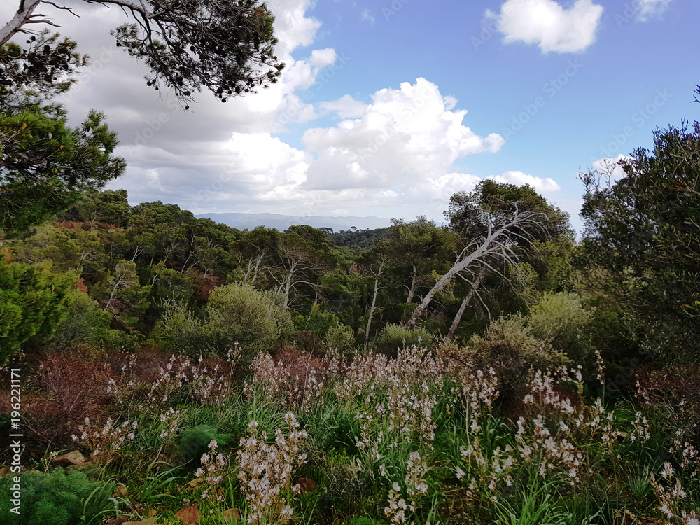 Paesaggio di Sardegna